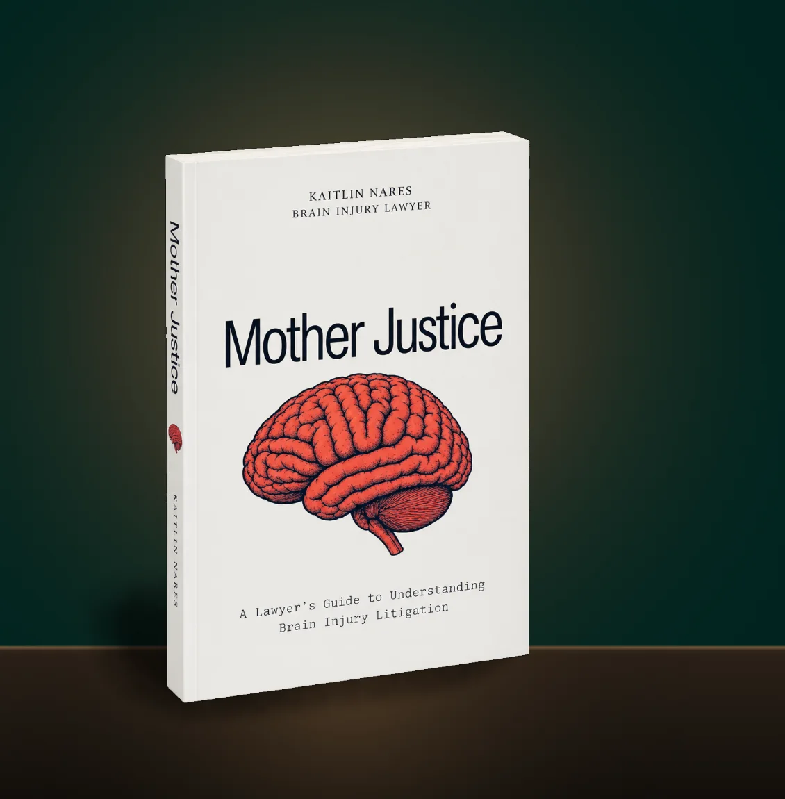 Mother Justice: A Lawyer’s Guide to Understanding Brain Injury Litigation, by Kaitlin Nares