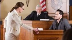 expert witnesses in trucking accident trials