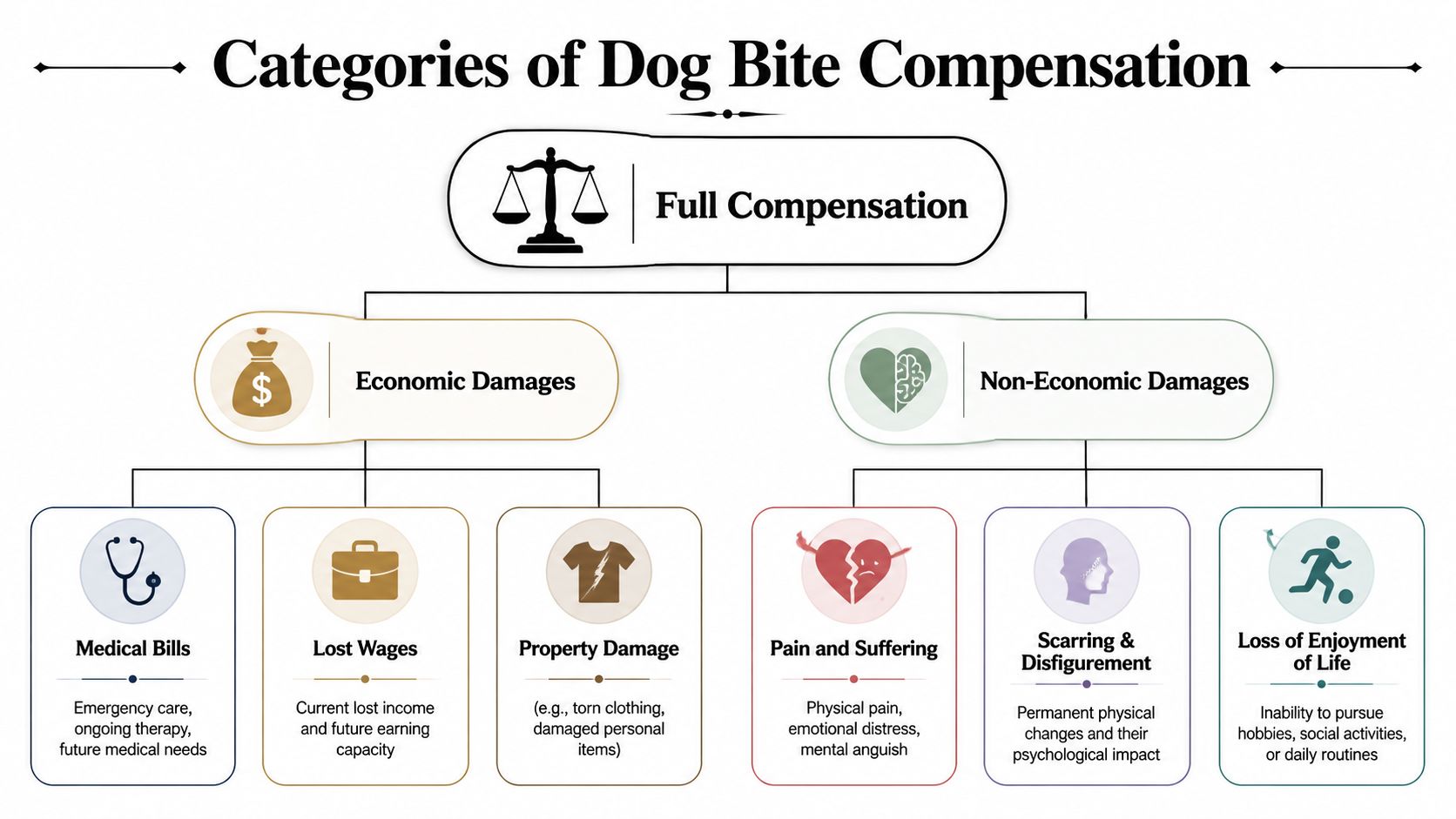 An infographic showing categories of dog bite compensation, including economic and non-economic damages with their subcategories.