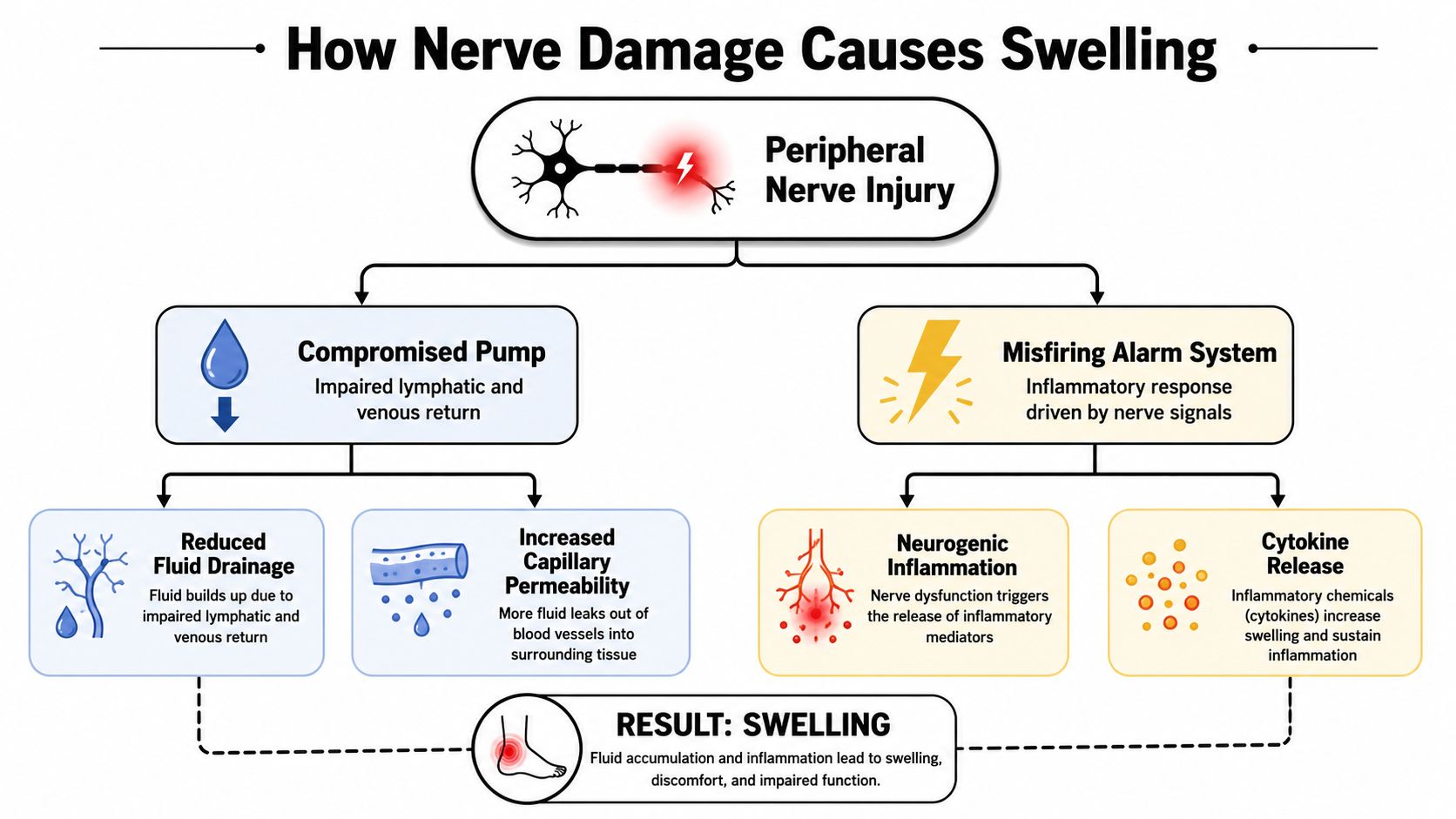 A flowchart explaining how peripheral nerve injury causes swelling through compromised fluid drainage and neurogenic inflammation.