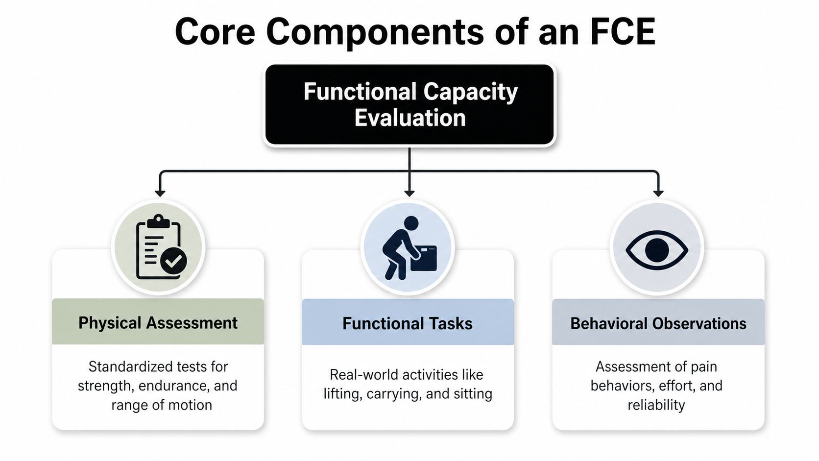 A flowchart diagram explaining the three core components of a Functional Capacity Evaluation: physical assessment, functional tasks, and behavioral observations.